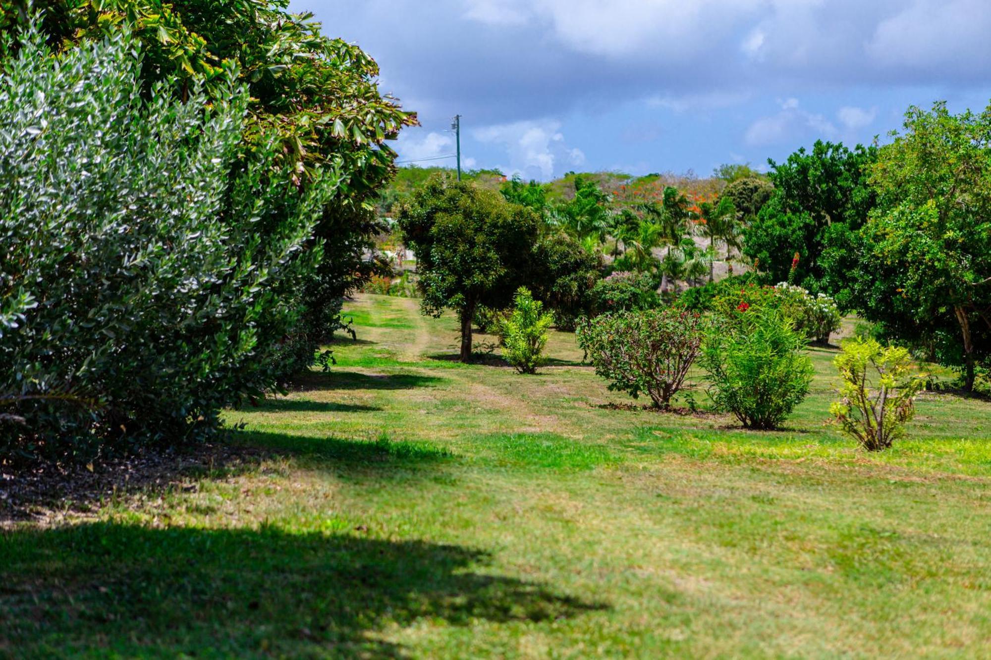 Escape At Nonsuch Bay Antigua (Adults Only) Hotel Gaynors Exterior photo