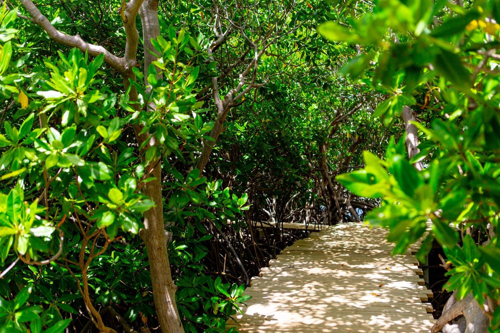 Escape At Nonsuch Bay Antigua (Adults Only) Hotel Gaynors Exterior photo